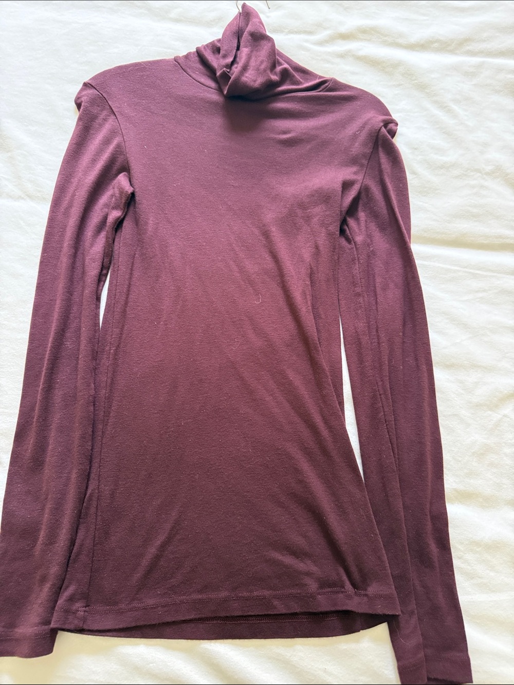 Splendid Plum Long-Sleeve Turtleneck Top